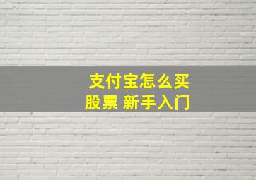 支付宝怎么买股票 新手入门